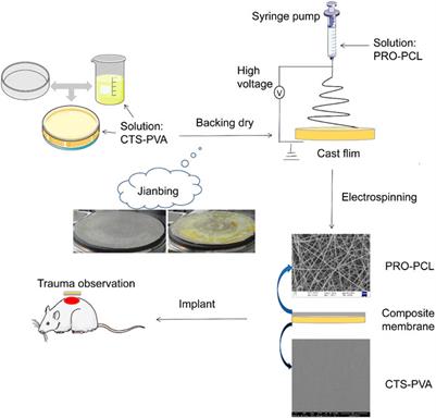 “Jianbing” styling multifunctional electrospinning composite membranes for wound healing